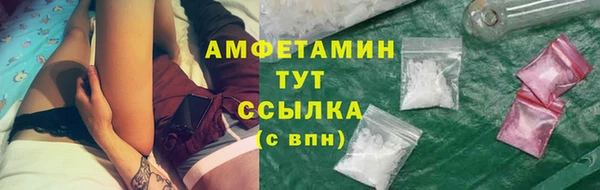 молекула духа Алексеевка