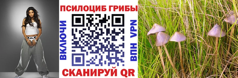 цены наркотик  Череповец  Псилоцибиновые грибы Psilocybe 